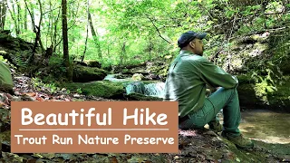 Beautiful Hike ~ Trout Run Nature Preserve