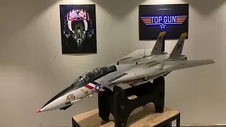 Freewing f14, from stock to Top Gun version.