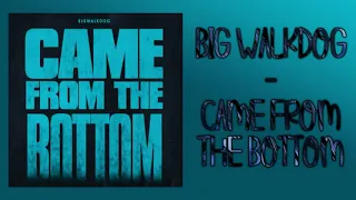 BigWalkDog - Came From The Bottom (Audio)