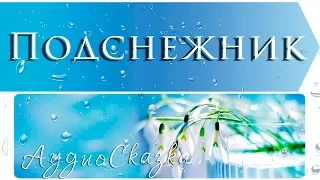 Подснежник | Анна Саксе | Сказки о цветах  | Аудиосказка