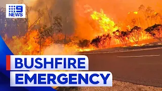 Queensland fire update: Homes and lives under threat from raging fires | 9 News Australia