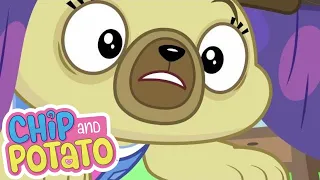 Where Is Spuds Homework? | Chip and Potato | Cartoons for Kids | WildBrain Zoo