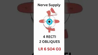 EYE MOVEMENTS TRICK {PART 1} ,EXTRAOCULAR MUSCLES #shorts