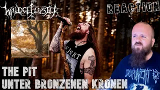 WALDGEFLÜSTER | Black Metal zum entspannen | The Pit | Reaction