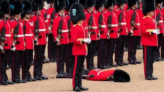 British Military Guards Must Follow Proper Fainting Protocol