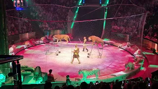 Отрывок из шоу "Легенда" Большого Государственного Московского Цирка "В поисках Немейского Льва"