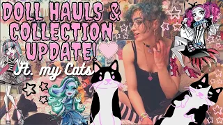 Doll Collection Update - Every Monster High Doll Haul from the past three months!