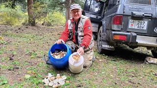 Горы, грибы, сентябрь.