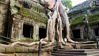 Angkor: Ancient Mega City in the Jungle