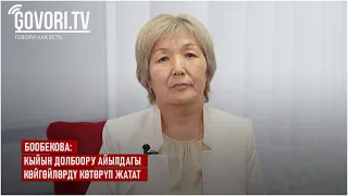 Бообекова: Кыйын долбоору айылдагы көйгөйлөрдү көтөрүп жатат