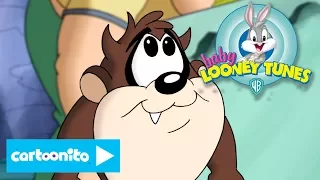 Baby Looney Tunes | ACME Ices | Cartoonito