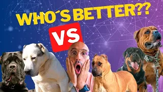 BEST FAMILY DOG: Comparing Alabai VS Boerboel VS Presa Canario VS Cane Corso VS Rottweiler