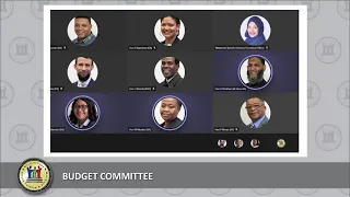 Budget Committee, 25 May 2021, 09:00