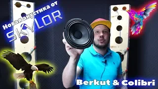 Новая акустика от SkyLor Berkut & Colibri