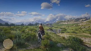 RED DEAD REDEMPTION 2 ON PC | 4K RESHADE TEST | i9-9900K RTX 2080Ti