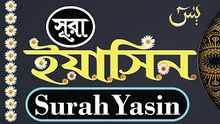 Surah Yasin (Yaseen) | Full With Arabic | সূরা ইয়াসিন। ‍আন নাফী। Beautiful recitation | یس سورہ