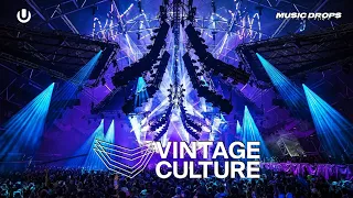 Vintage Culture [Drops Only] @ Ultra Miami 2024, Resistance Megastructure