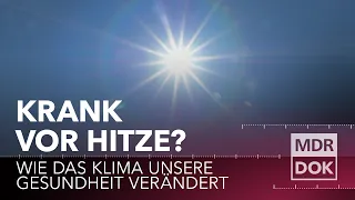 70.000 TODESFÄLLE DURCH HITZE -  Der Klimawandel kostet uns unsere Gesundheit | MDR DOK