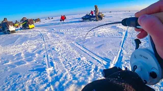 СУДАК В КАЖДОЙ ЛУНКЕ! А ПОД ВЕЧЕР БЫЛ ХАПОК! Ловля судака на Оби, водохранилище. Рыбалка 2024