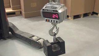 Digital Crane Scales