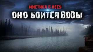 Мистика в лесу - Оно боится воды - Мистические истории из жизни.