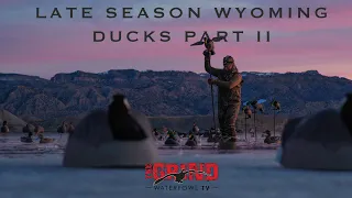 Late Season Wyoming Ducks Part II | The Grind S10:E11