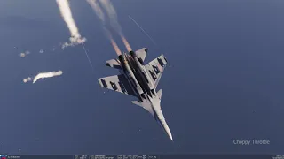 DIGITAL COMBAT SIMULATOR (DCS) | SUKHOI SU-33/FLANKER-D PULLING 12.4 G?????