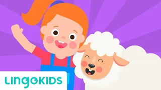 Mary Had a Little Lamb 🐑🎶 Nursery Rhymes | Lingokids