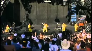 Devo Live Lollapalooza concierto completo