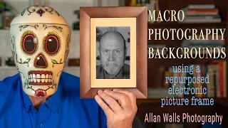 Macro Photography Backgrounds - using a repurposed electronic picture frame