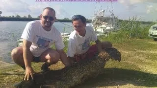 Fishing Team Romeo (CZ): Catfish fishing- Delta El Ebro in Spain (2011)