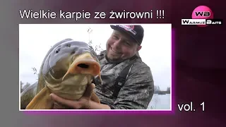 Wielkie karpie ze żwirowni - vol.1