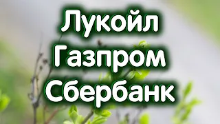 Лукойл, Газпром, Сбербанк. SnP-500. Индекс МосБиржи. Обзор 16.04.2024