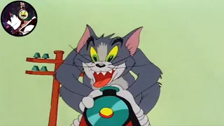 Tom and Jerry「AMV」Andrew W.K. - Ready To Die