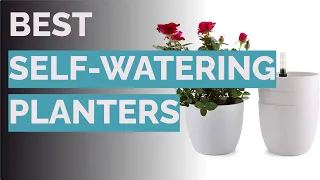 🌵 10 Best Self-Watering Planters (Master Gardener-Reviewed)