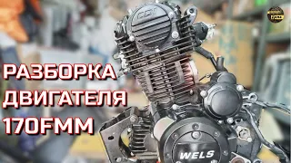 170FMM Разборка китайского мотора