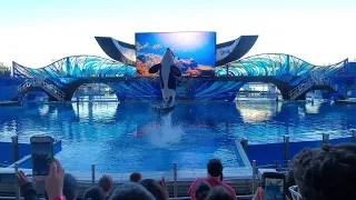 NEW SHOW - 2020 - Orca Encounter - (Full Show/Full HD)  SeaWorld Orlando