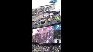 Alice In Chains - 2015 NFC Championship Game halftime show
