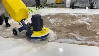 Area Rug Washing Process