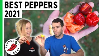 Best Pepper Varieties We Grew in 2021 - Pepper Geek