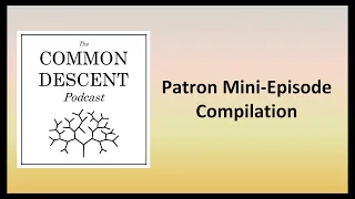 Patron Mini-Episode Compilation