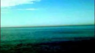 Черное море дельфины Сочи