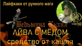 АЙВА С МЁДОМ-средство от кашля#наталиярунная #ведьминакухня