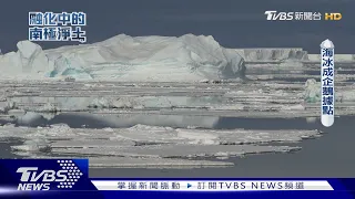 海冰面積退縮創新低紀錄 衝擊企鵝生存｜融化中的南極淨土｜TVBS新聞 @TVBSNEWS01