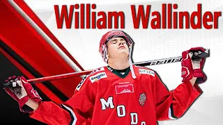 William Wallinder Dominating with Rogle in The SHL!