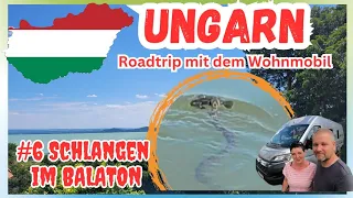 Ungarn - Balaton - da geh ich nicht mehr rein 😱 Kèszthely, Hèviz, Badacsony, Seehöhle Tapolca,