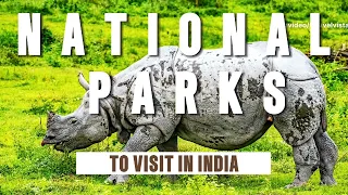 Exploring India's Top National Parks