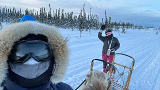 The most fun activity we have ever done in our lives! Dog Sledging - Amazing Alaska Part 3