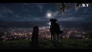 Lady and the Tramp VO Trailer 1 2019   Movieclips Trailers