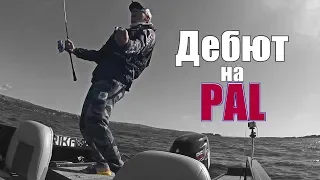 Хроники провала. PAL. Сызрань. Stalingrad Fishers